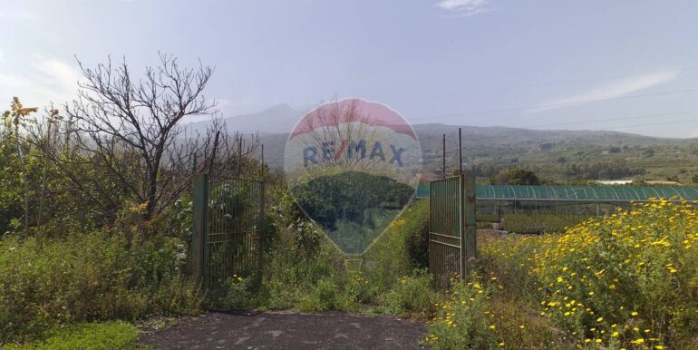 2025112883439-1004246-11