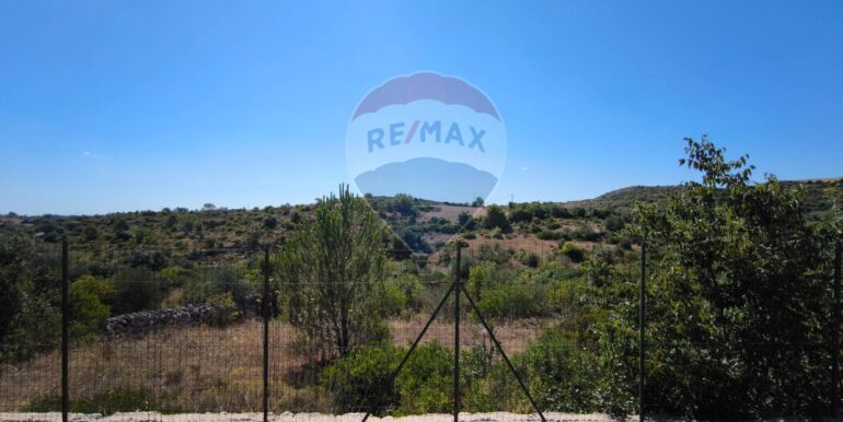 2025112884306-1004245-4