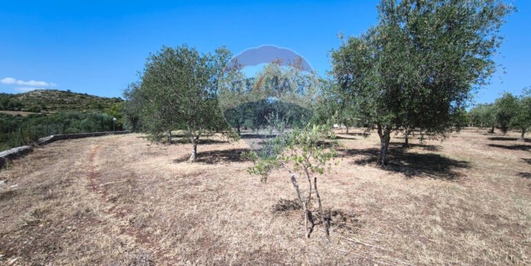 2025112884314-1004245-6