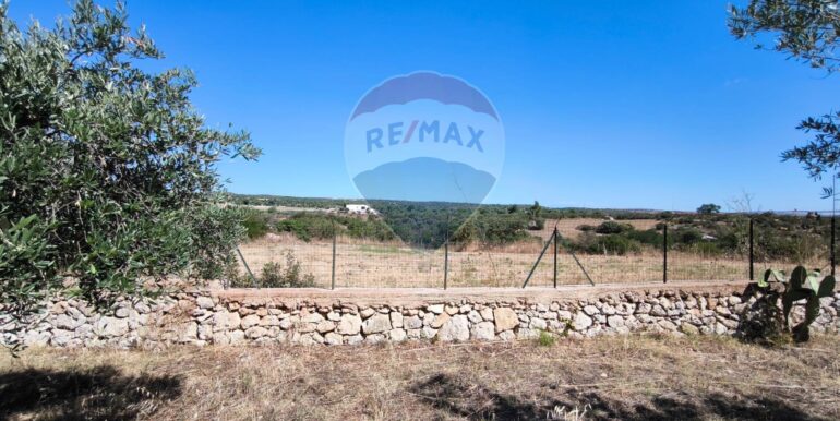 2025112884339-1004245-13