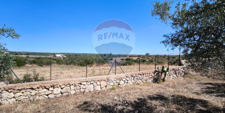 2025112884343-1004245-14