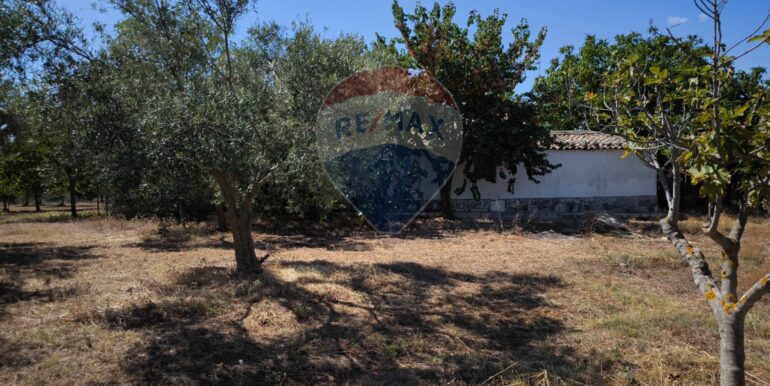 2025112884356-1004245-16