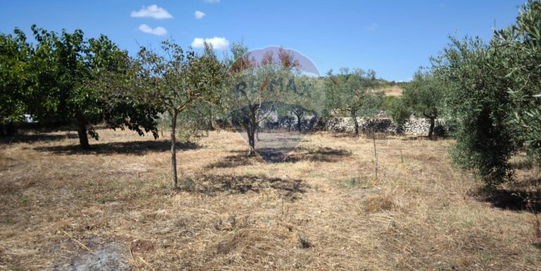 2025112884401-1004245-17