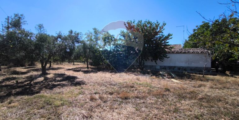 2025112884405-1004245-18