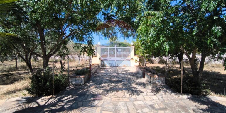 2025112884409-1004245-19