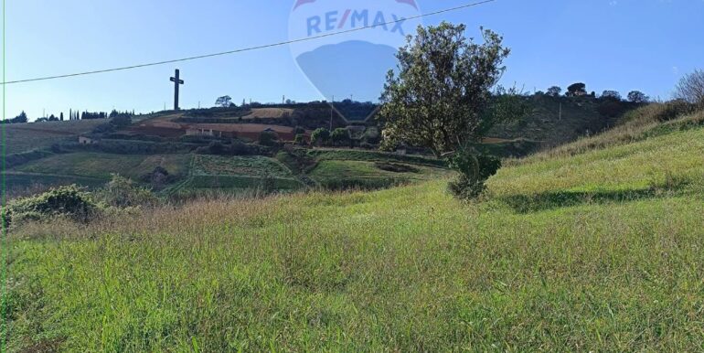 20251129144451-1004216-2