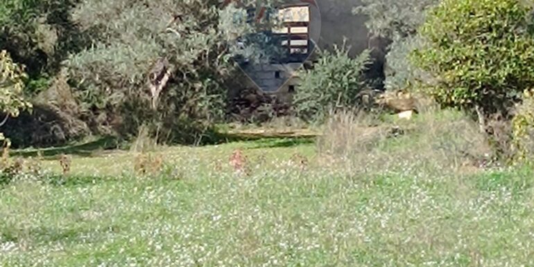 20251129144507-1004216-6