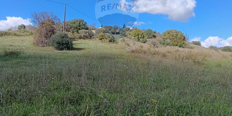 20251129144533-1004216-13