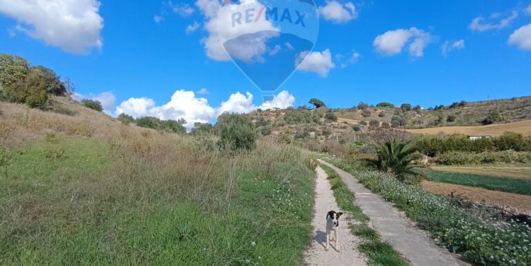 20251129144546-1004216-17