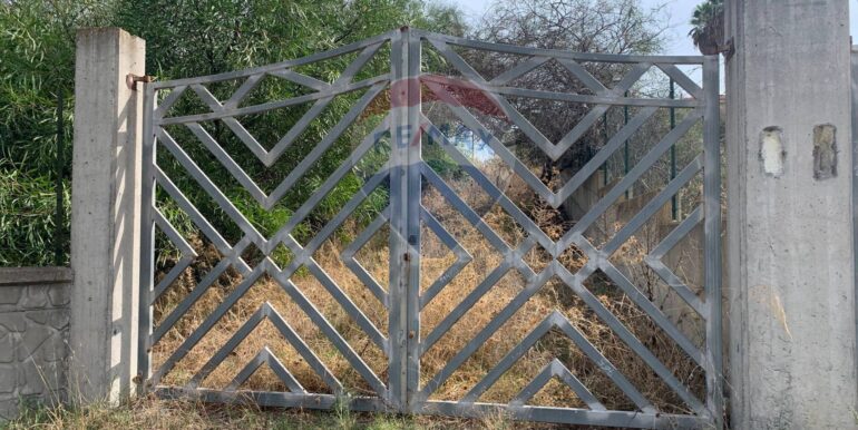 20251129150759-1005500-8