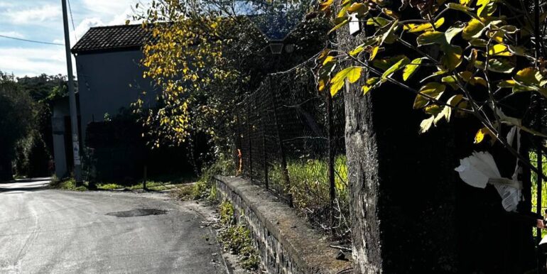 20251129170742-1003586-3