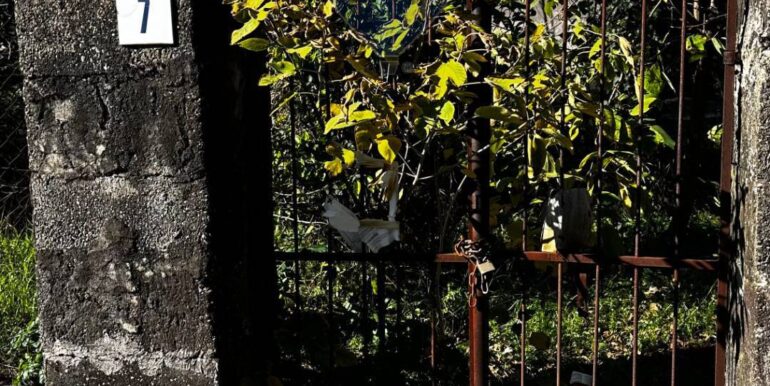 20251129170746-1003586-4