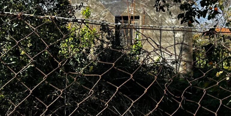 20251129170750-1003586-5