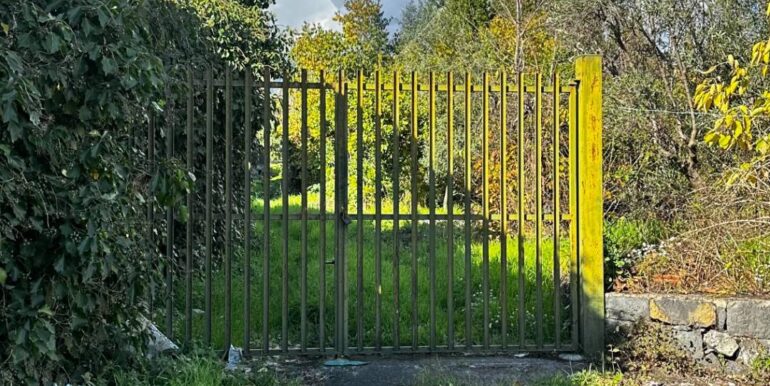 20251129170800-1003586-8