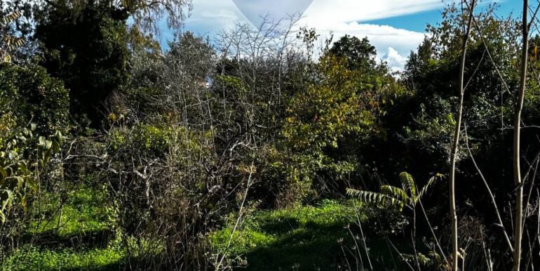 20251129170814-1003586-11