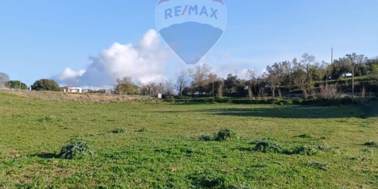 20251129222208-999770-2