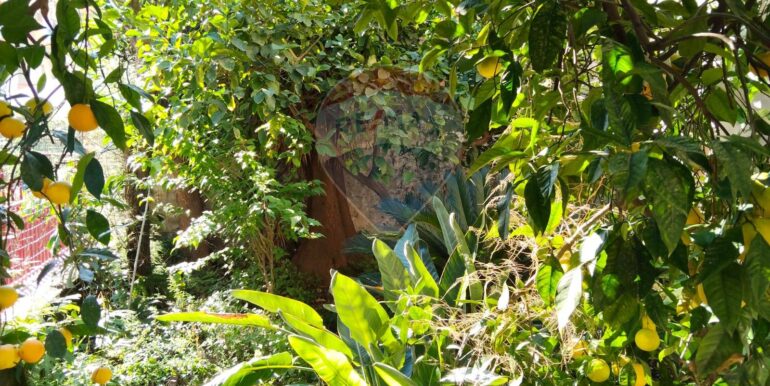 20251130135255-1005518-15