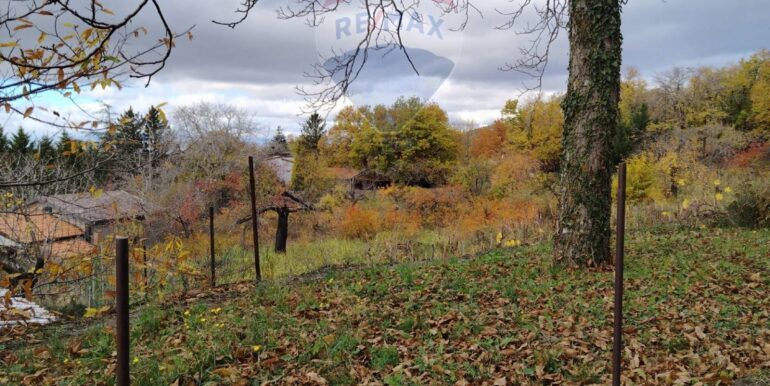 20251201104337-1005652-1