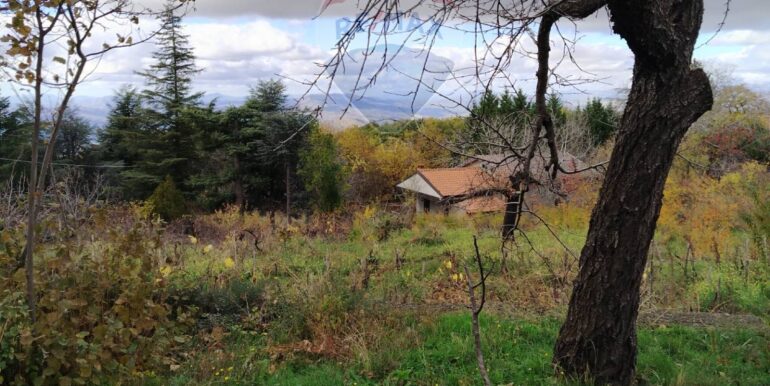 20251201104344-1005652-2