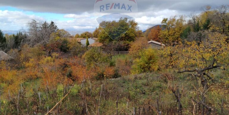 20251201104349-1005652-3