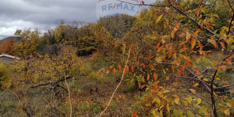 20251201104354-1005652-4