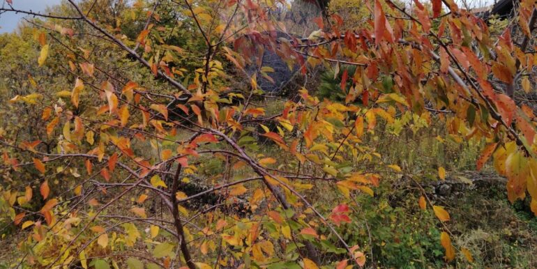 20251201104400-1005652-5