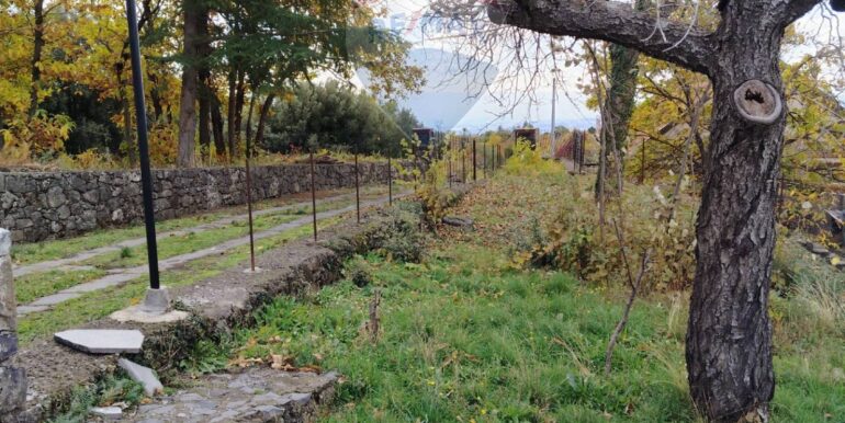 20251201104406-1005652-6