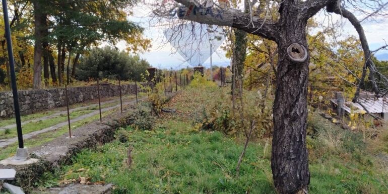 20251201104412-1005652-7