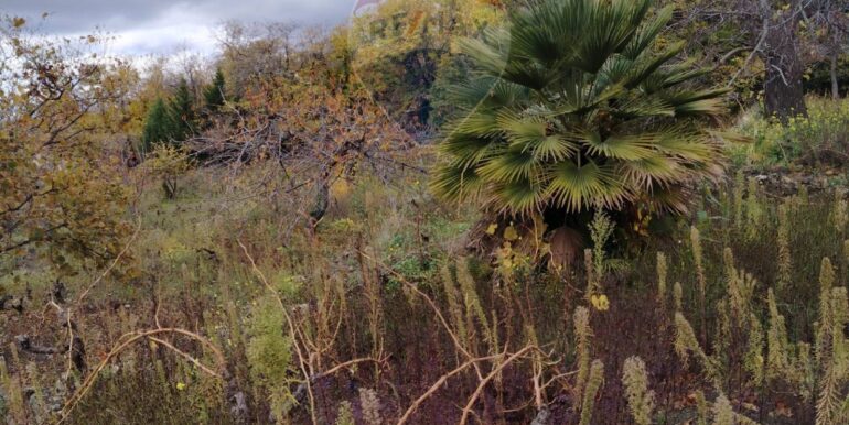 20251201104446-1005652-10