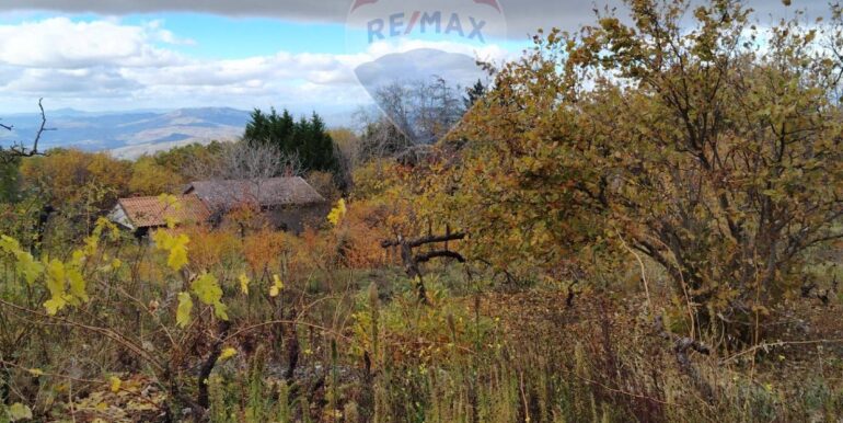 20251201104451-1005652-11