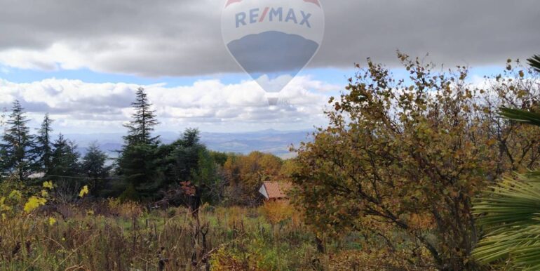 20251201104456-1005652-12