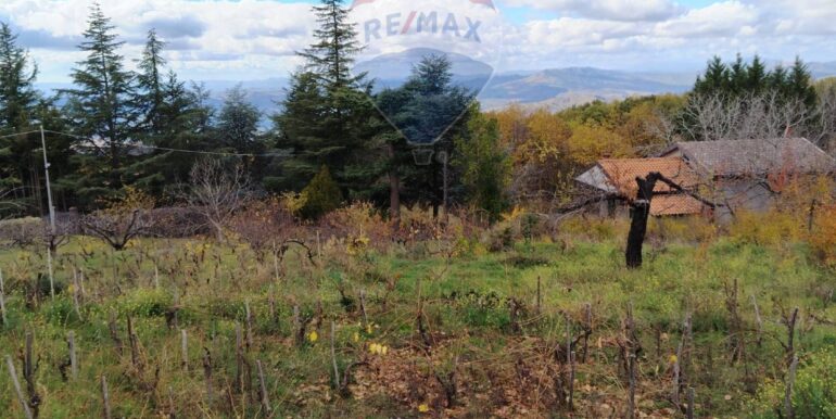 20251201104516-1005652-16