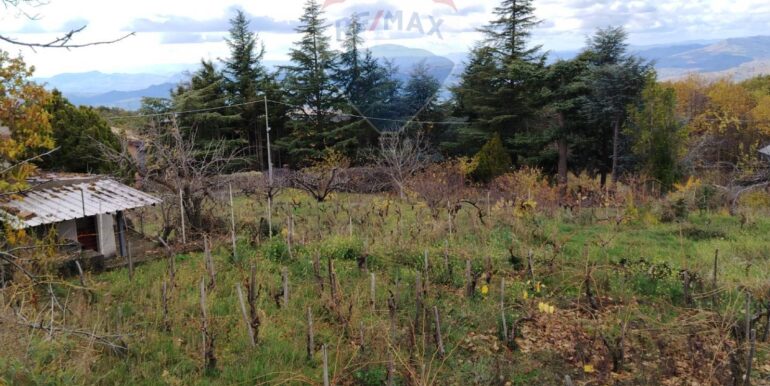 20251201104705-1005652-17