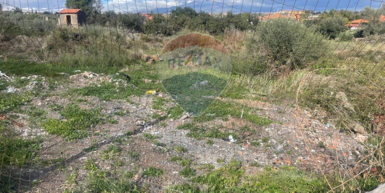 20251201113519-1005667-1