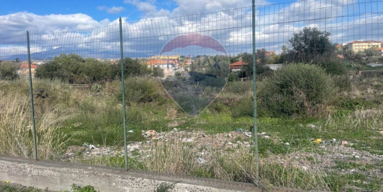 20251201113525-1005667-2