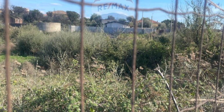 20251201113529-1005667-3