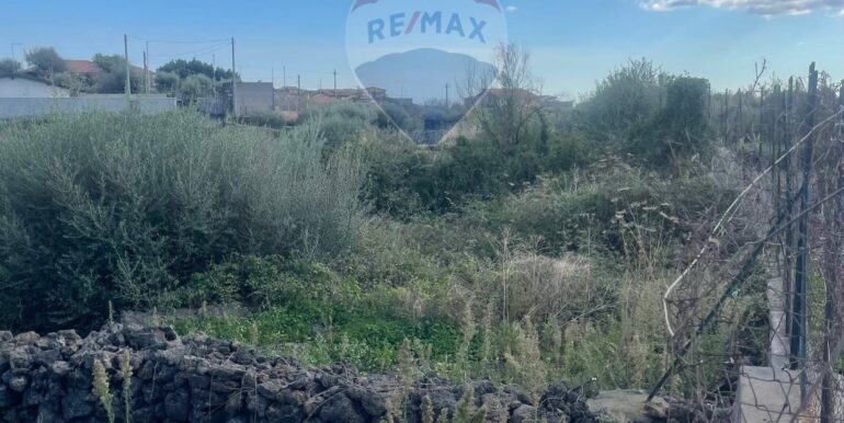 20251201113534-1005667-4