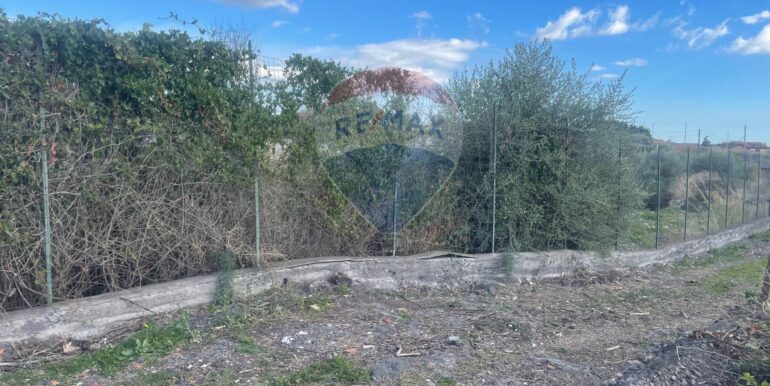 20251201113542-1005667-6