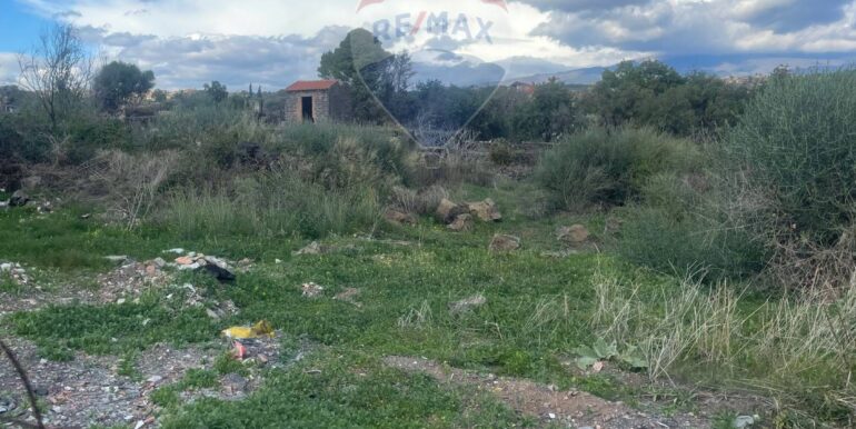 20251201113551-1005667-8