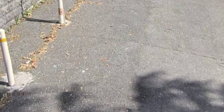 20251201175100-1005799-1