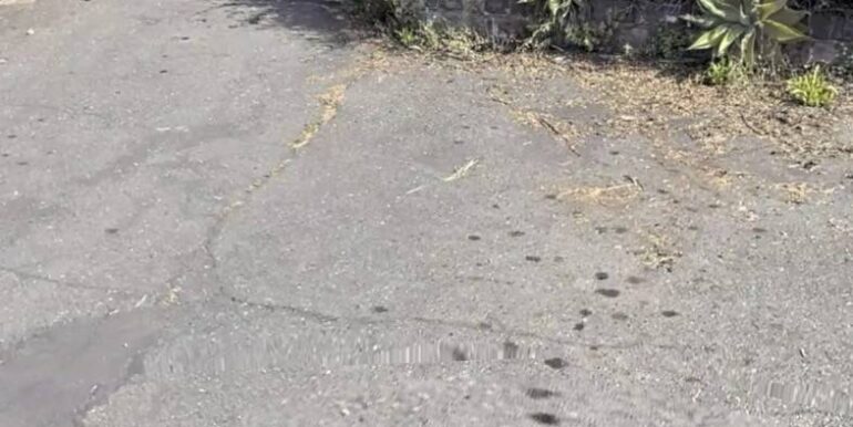 20251201175106-1005799-3