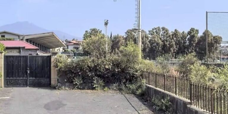 20251201175111-1005799-5