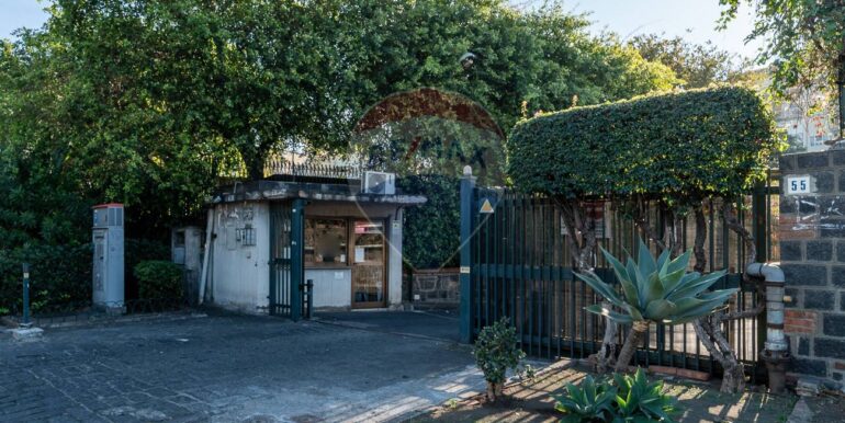 20251201222017-1000954-4