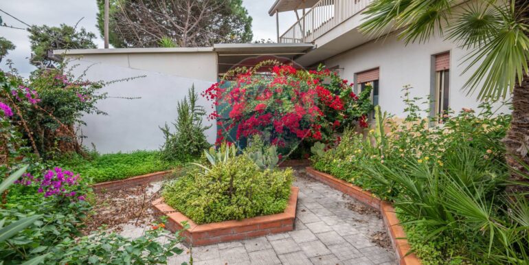 2025120194301-1005353-32