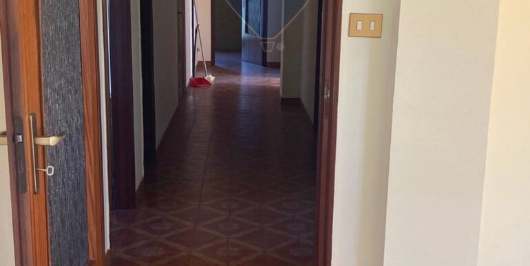 20251202112911-1005909-11