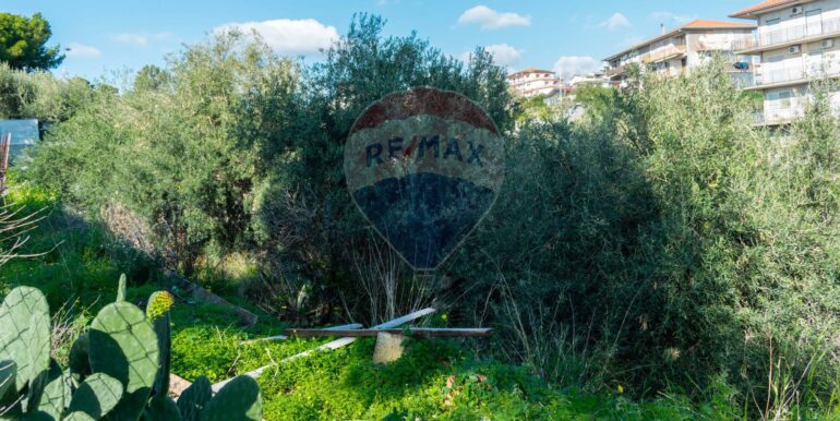 20251202153856-1005958-2