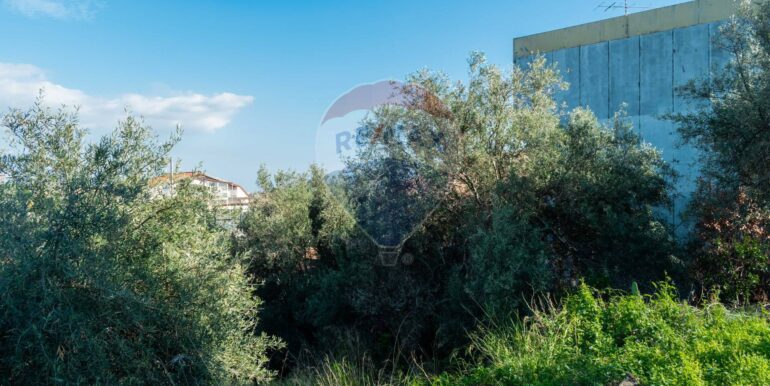 20251202153902-1005958-4