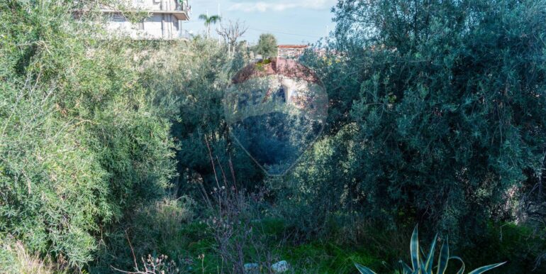 20251202153906-1005958-5