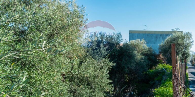 20251202153910-1005958-6