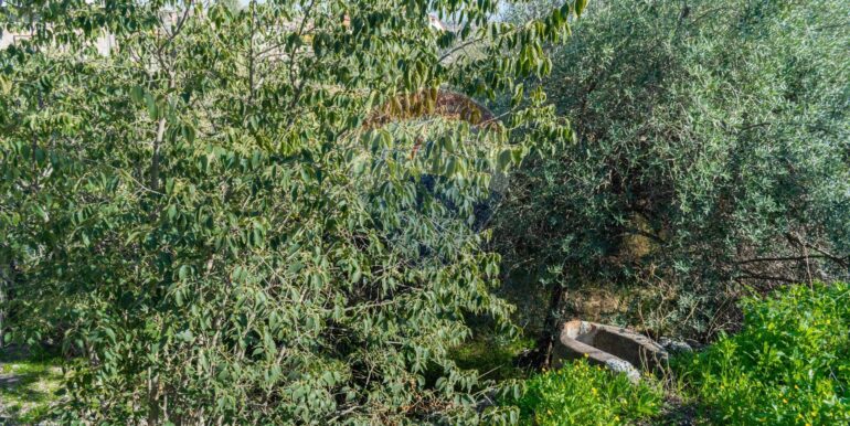 20251202153913-1005958-7